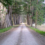 Retreat Entrance Drive