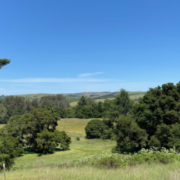 View from the Retreat