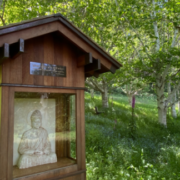 Swami Vivekananda Memorial Grove