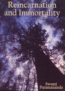 Reincarnation and Immortality