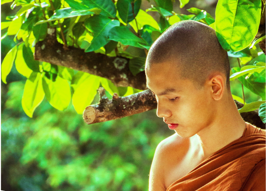 pexels-pixabay-220578