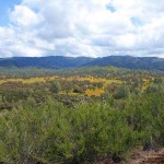 View-from-Dhuni-Hill-150x150