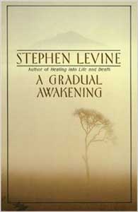 Gradual Awakening, A